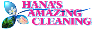 hanas amazing cleaning