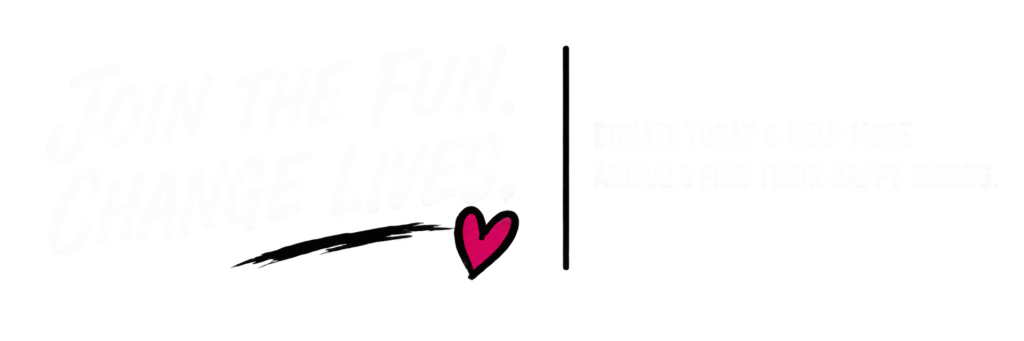 clear bottom banner