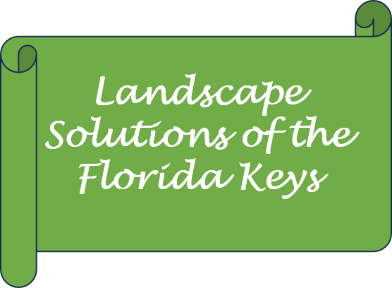 landscape solutions of the florida keys